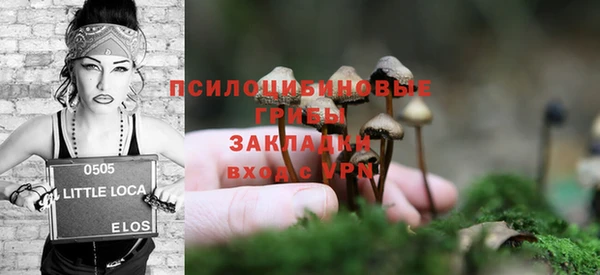 2c-b Вяземский
