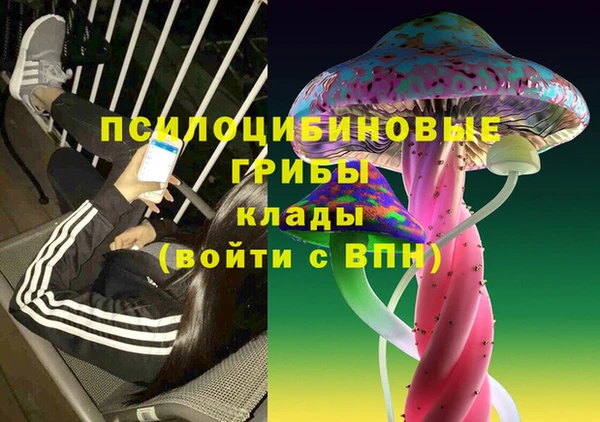 2c-b Вяземский